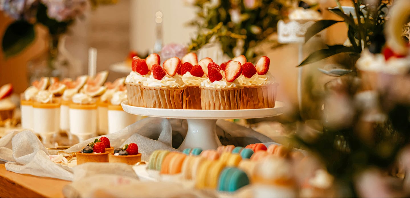 image background contact